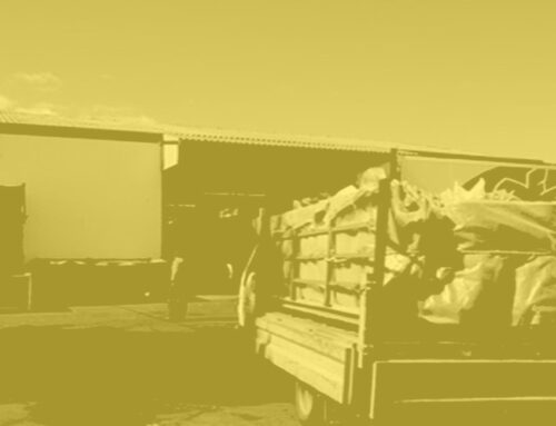 1ª Integración/Fusión