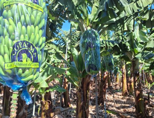 ¿Conoces el sistema con el que respaldamos tu embolsado?